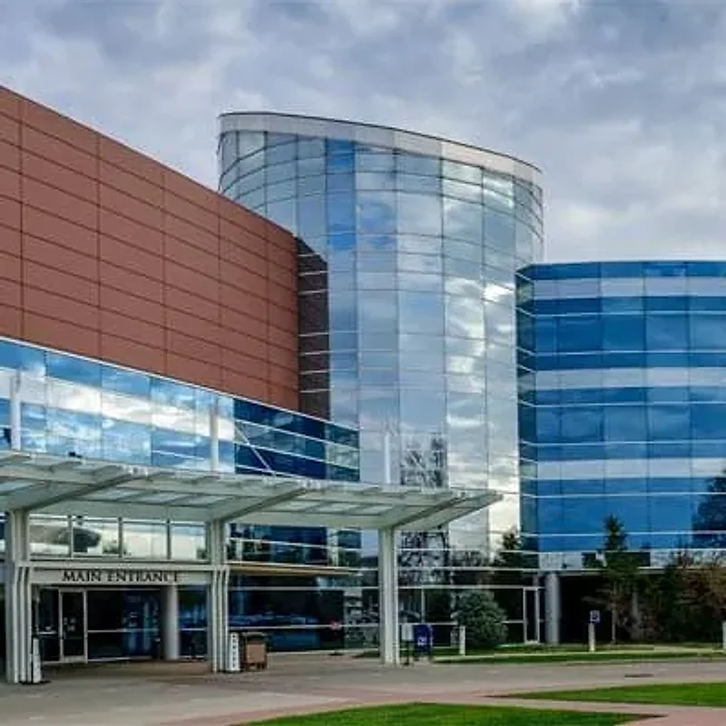 Institutional sector
