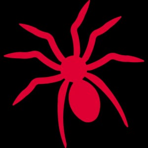 Araigneés