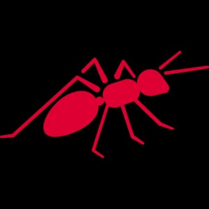 Fourmis
