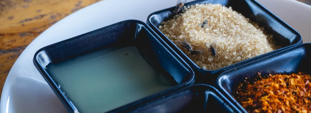 HOW TO CONTROL FLIES IN A RESTAURANT