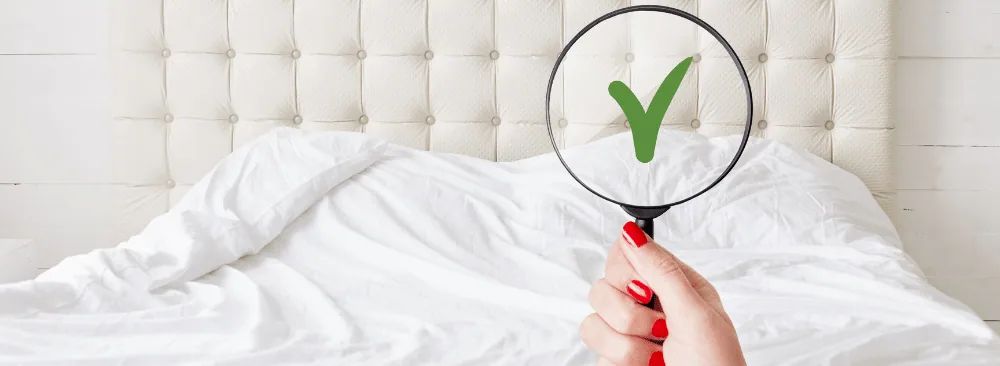 PUNAISES DE LIT ET VOYAGE, ASTUCES POUR SE PROTÉGER
