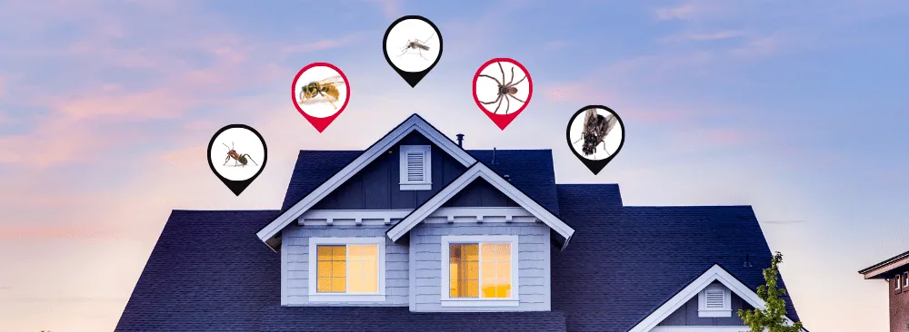 THE BENEFITS OF A RESIDENTIAL PROTECTION PLAN AGAINST PESTS
