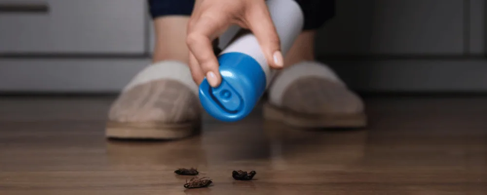 THE DANGERS OF OVER-THE-COUNTER INSECTICIDES: WHY HIRE AN EXTERMINATOR?
