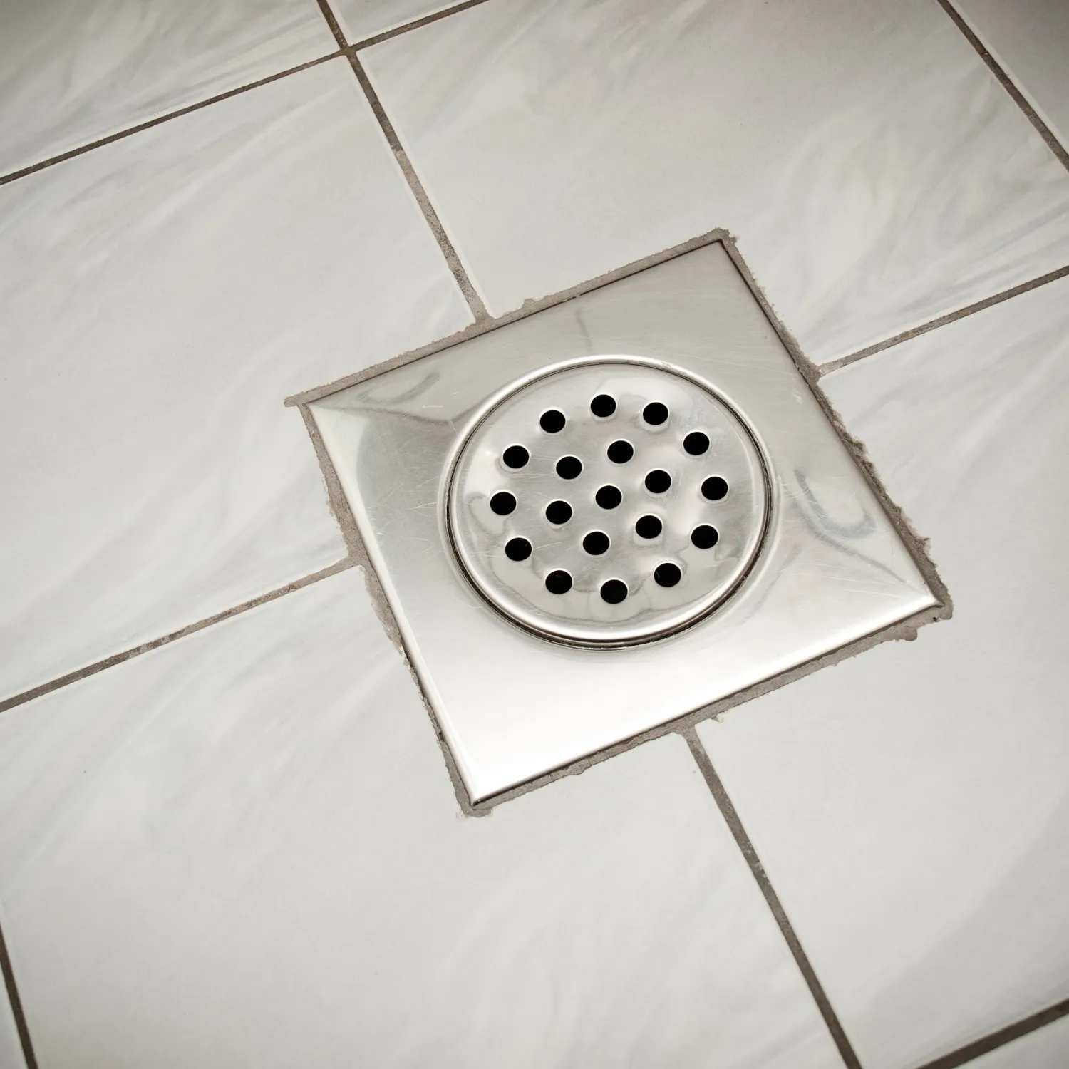 Floor drain, a potential rodent entry point