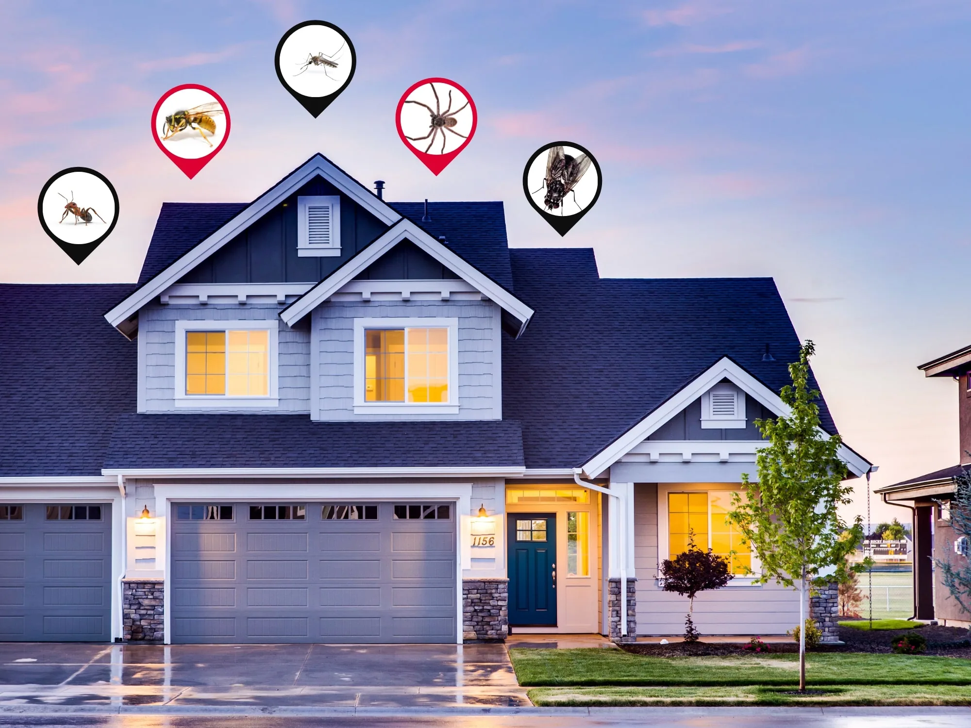 Illustration: Difference between residential and commercial extermination