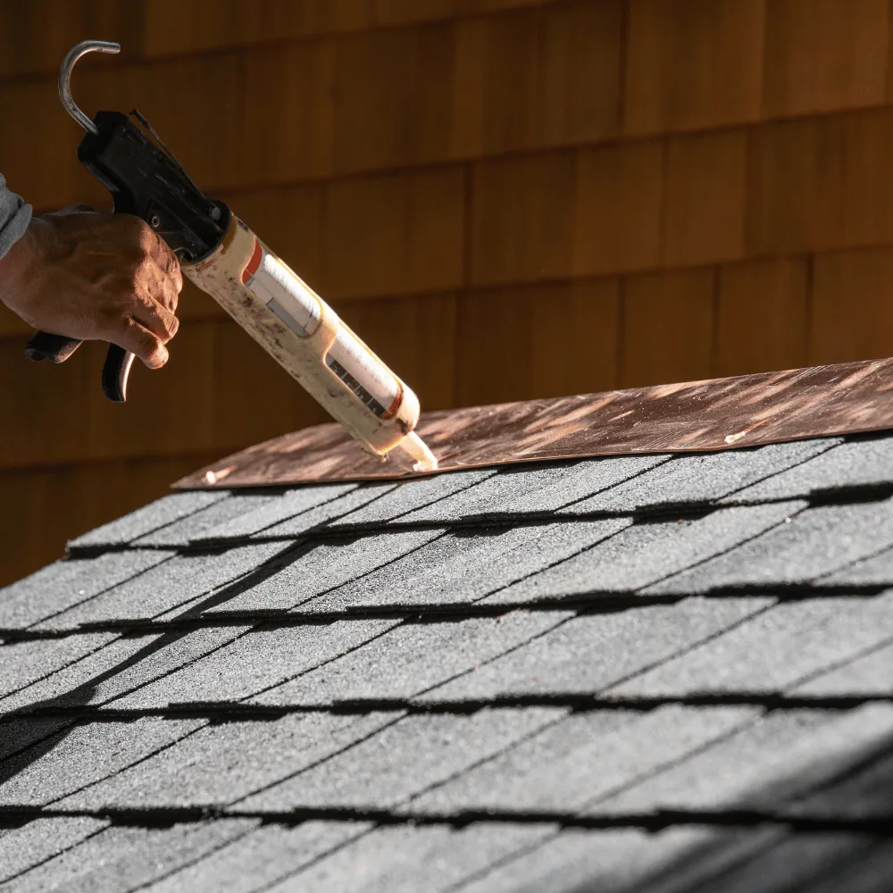 Roof caulking against mice