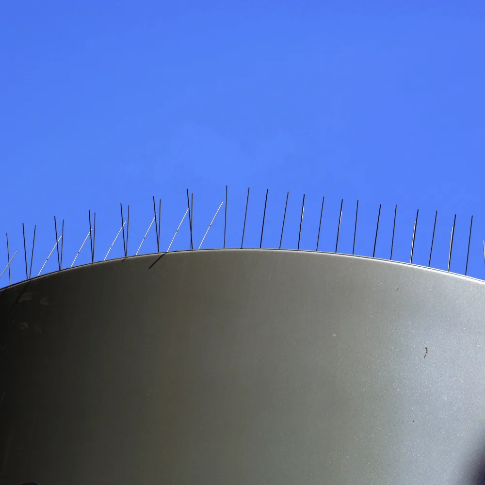 Bird control installation