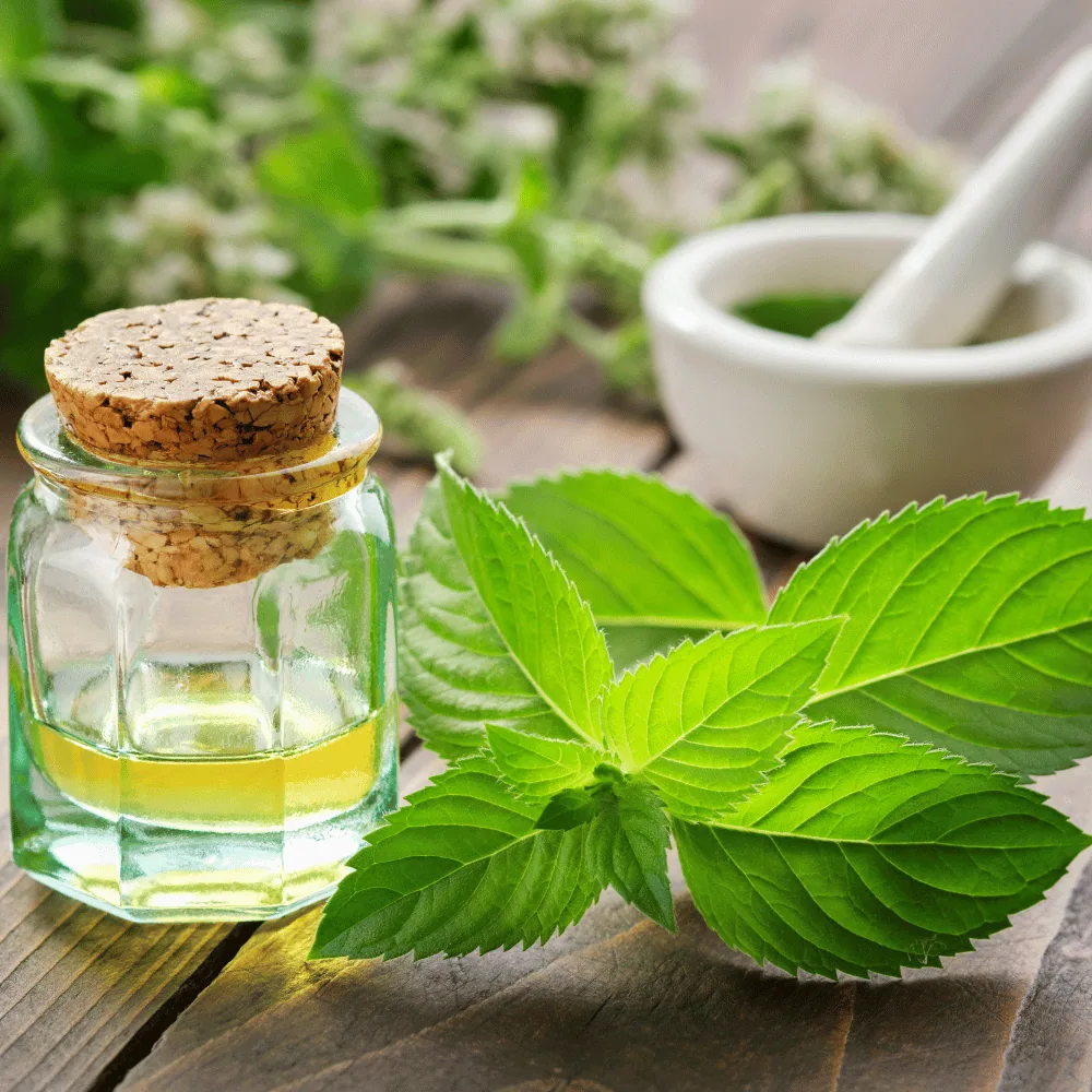 Natural mint-based method