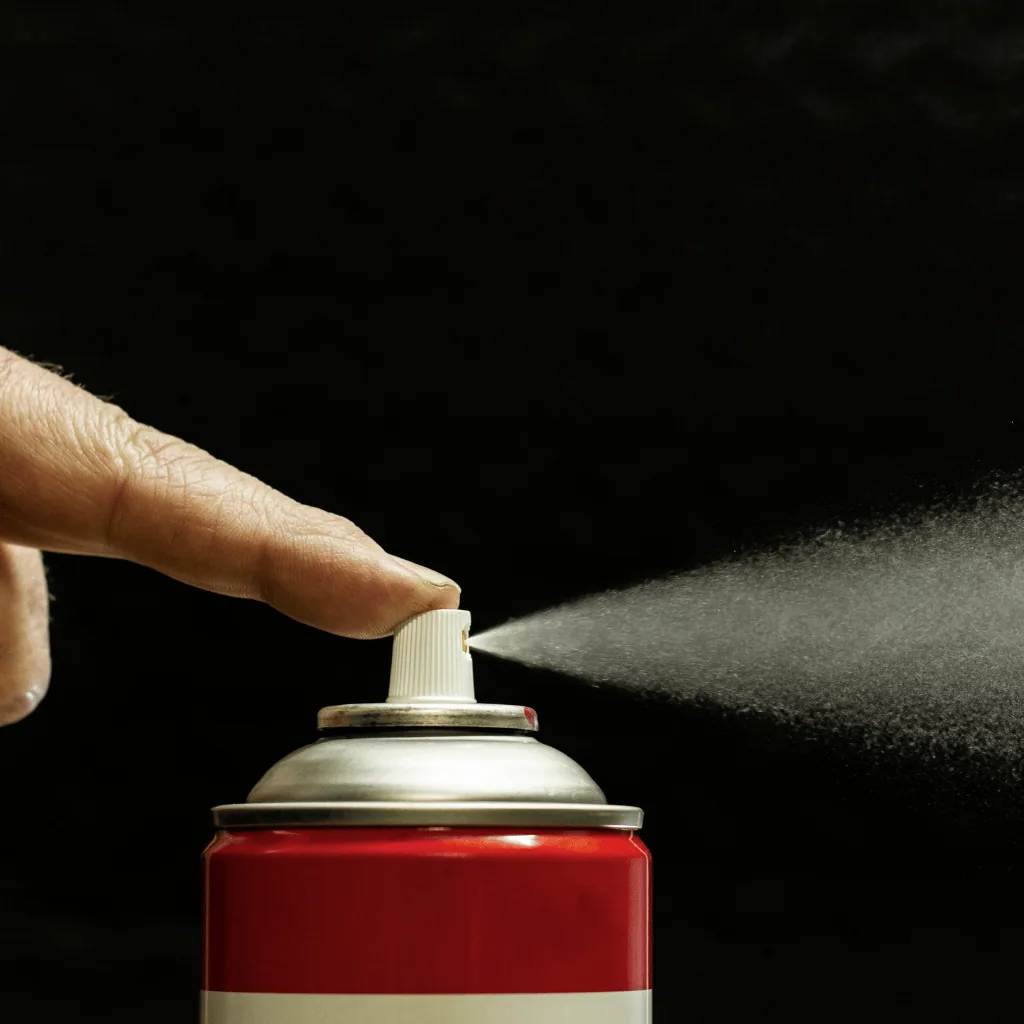 Professional fly extermination service
